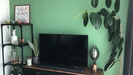 1 Bedroom Condo for rent in Life Sukhumvit 48, Phra Khanong, Bangkok near BTS Phra Khanong