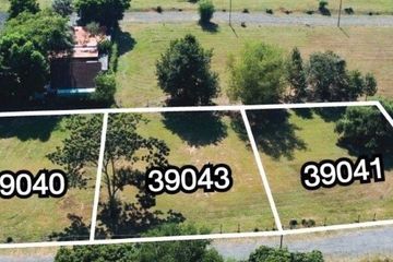 Land for sale in Pa Pong, Chiang Mai