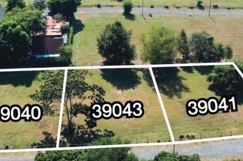 Land for sale in Pa Pong, Chiang Mai