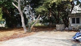 Land for sale in Nong Prue, Chonburi