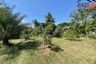 Land for sale in Huai Yai, Chonburi