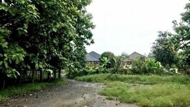 Land for sale in San Pong, Chiang Mai