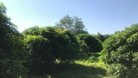 Land for sale in San Pong, Chiang Mai