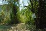 Land for sale in Takhli, Nakhon Sawan