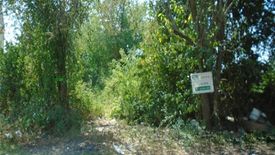 Land for sale in Takhli, Nakhon Sawan