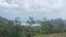 Land for sale in Khlong Khian, Phang Nga