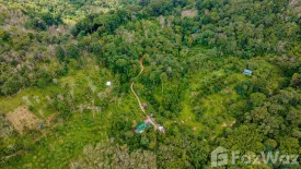 Land for sale in Patong, Phuket