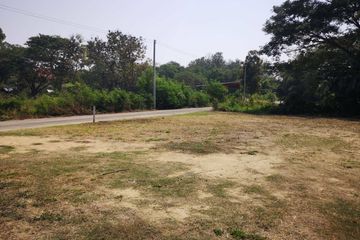 Land for sale in Tha Wang Tan, Chiang Mai