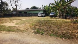 Land for sale in Tha Wang Tan, Chiang Mai