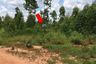 Land for sale in Khok Sung, Chaiyaphum