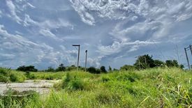 Land for sale in Nong Prue, Chonburi