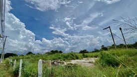 Land for sale in Nong Prue, Chonburi