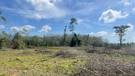 Land for sale in Thep Krasatti, Phuket