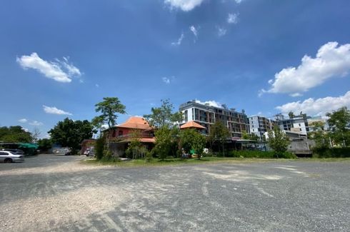 Commercial for sale in Tha Sala, Chiang Mai