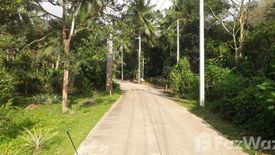 Land for sale in Lipa Noi, Surat Thani