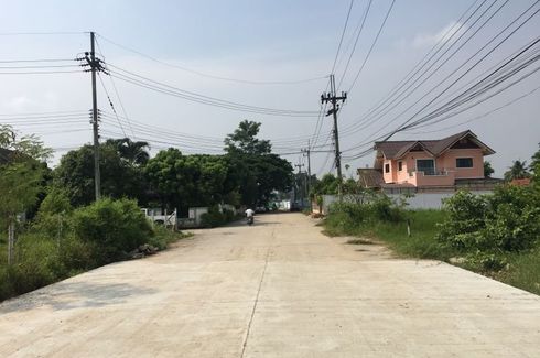 Land for sale in San Phak Wan, Chiang Mai