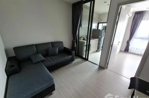 1 Bedroom Condo for rent in Life Sukhumvit 62, Bang Chak, Bangkok near BTS Bang Chak