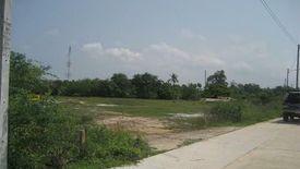 Land for sale in Nong Prue, Chonburi