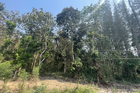 Land for sale in Nong Phlap, Prachuap Khiri Khan