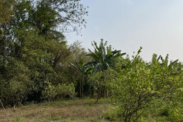 Land for sale in Huai Sat Yai, Prachuap Khiri Khan