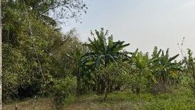 Land for sale in Huai Sat Yai, Prachuap Khiri Khan