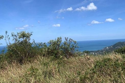 Land for sale in Bo Phut, Surat Thani