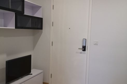 1 Bedroom Condo for rent in The Tree Sukhumvit 71 - Ekamai, Suan Luang, Bangkok near Airport Rail Link Ramkhamhaeng