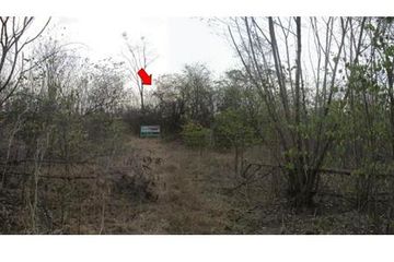 Land for sale in Kan Chu, Phetchabun