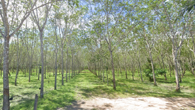 Land for sale in Pa Khlok, Phuket