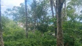 Land for sale in Choeng Thale, Phuket