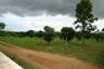 Land for sale in Nong Prue, Chonburi