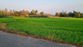 Land for sale in Huai Sai, Chiang Mai