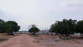 Land for sale in Nong Prue, Chonburi