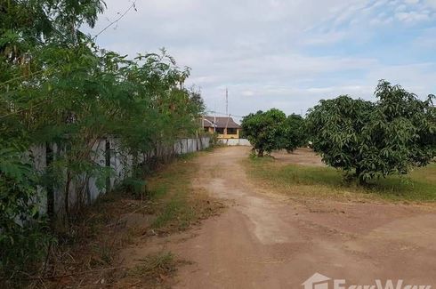 Land for sale in Nong Prue, Chonburi