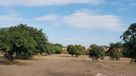Land for sale in Nong Prue, Chonburi