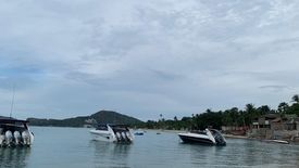 Land for sale in Mae Nam, Surat Thani