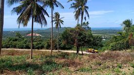 Land for sale in Na Mueang, Surat Thani