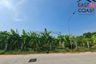 Land for sale in Nong Prue, Chonburi