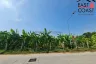 Land for sale in Nong Prue, Chonburi
