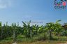 Land for sale in Nong Prue, Chonburi