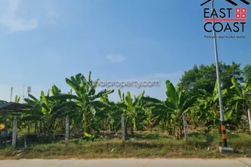 Land for sale in Nong Prue, Chonburi