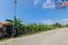 Land for sale in Nong Prue, Chonburi
