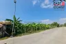 Land for sale in Nong Prue, Chonburi