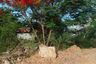 Land for sale in Hua Hin, Prachuap Khiri Khan