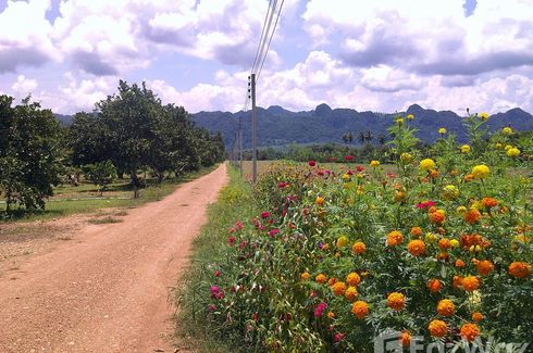 Land for sale in Linthin, Kanchanaburi