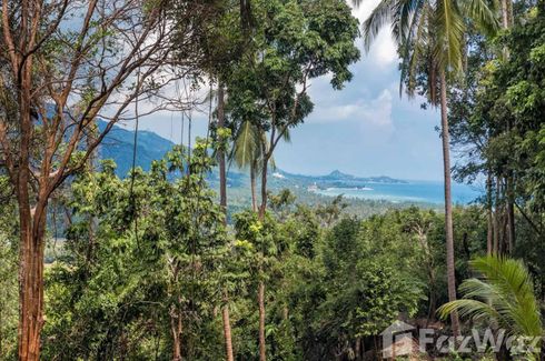 Land for sale in Santikhiri Estate, Na Mueang, Surat Thani