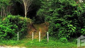 Land for sale in Si Sunthon, Phuket