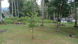 Land for sale in Pa Khlok, Phuket