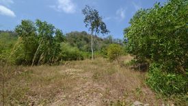 Land for sale in Ko Kaeo, Phuket