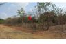 Land for sale in Kan Chu, Phetchabun